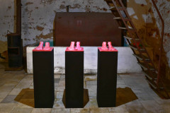 Janusz Radtke  / Nürnberg