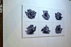 Piotr Korzeniowski / Krakau