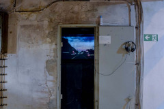 Susa Schneider / Fürth